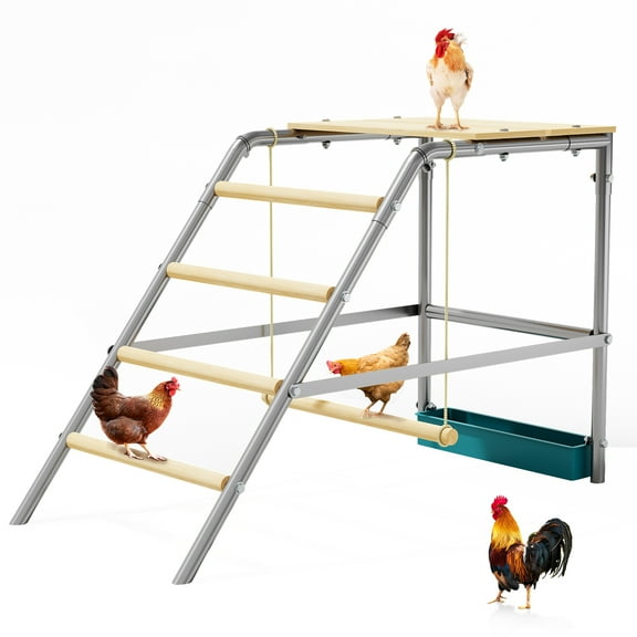 Chicken Coop Accessories Set - Perch, Swing & Ladder for Hens (37"x20"x28")