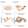 thumbnail image 4 of Juego de ciclo de vida de crecimiento de serpiente de simulación Juguetes educativos para el aula Wmkox8yii HAHFKSH1463, 4 of 4