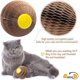 thumbnail image 5 of Juguete de bola de hierba gatera - Bola rascadora recargable para gatos - El fiel compañero de juegos de Kitty - Ayuda a reducir la obesidad y la soledad - Marrón, 5 of 5