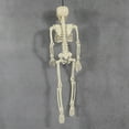 thumbnail image 4 of Huanglei 40cm Poseable Halloween Skeleton Movable Plastic Bones With Top Hat/Cape Or Weathered Effects For Bar Party (3 Styles), 4 of 6