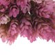 thumbnail image 3 of unbranded Ramas De Piña Artificiales En Plástico Morado Para De Fiesta Y Hogar, 3 of 7