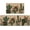 NO110, variant on Boho Cactus Kitchen Rugs Set of 2, Tropical Cacti Botanical Floor Mats Home Decor, Bohemian Spring Summer Door Mat Decorations - 17x29 and 17x47 Inches