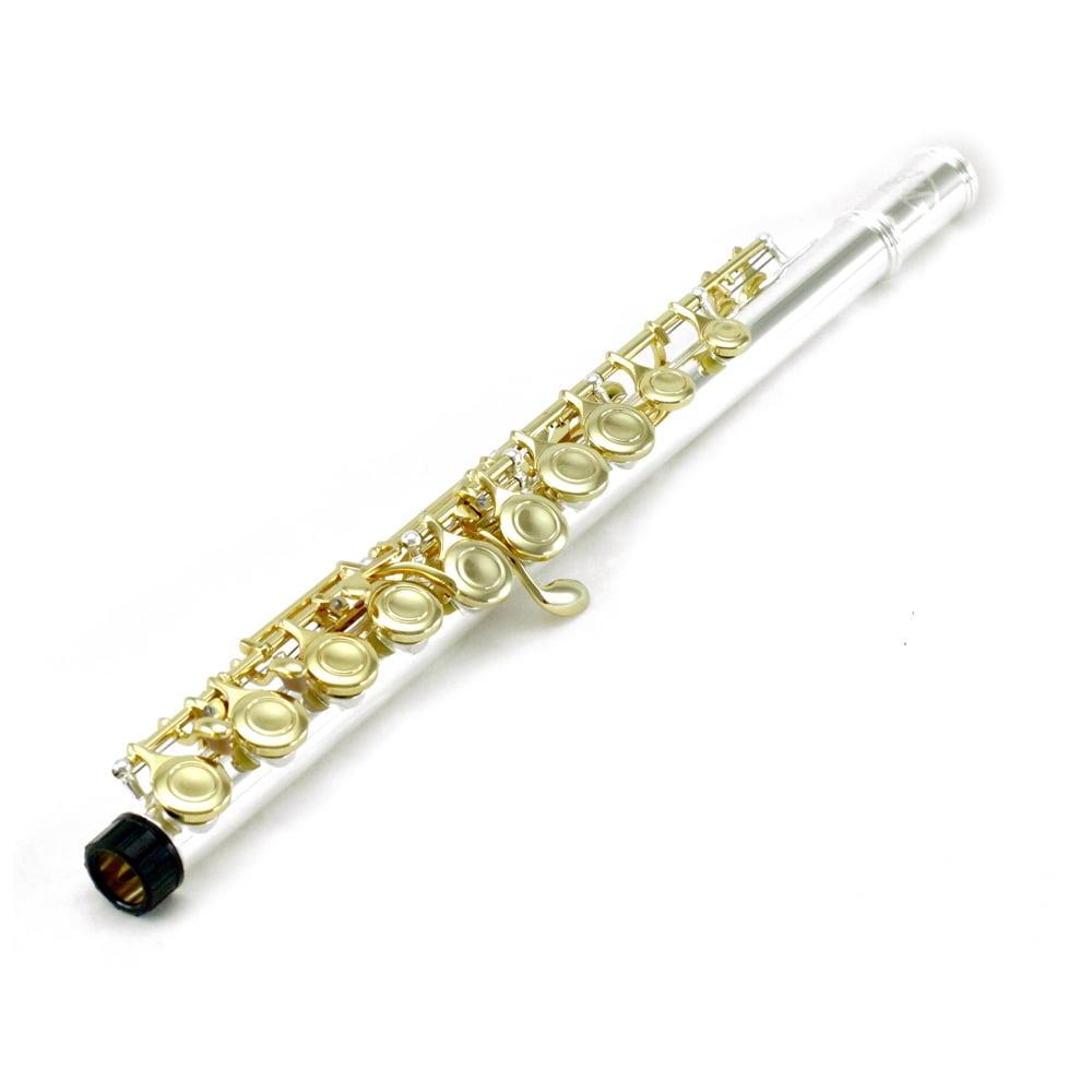 Sky C Flute with Lightweight Case, Cleaning Rod, Cloth, Joint Grease and Screw Driver - Silver/Gold Closed Hole