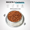 thumbnail image 4 of Somos Maka Receta 1 Cachorro alimento para mascotas 4 kg SOMOS MAKA Etapa 1 cachorro croqueta pastilla, 4 of 6