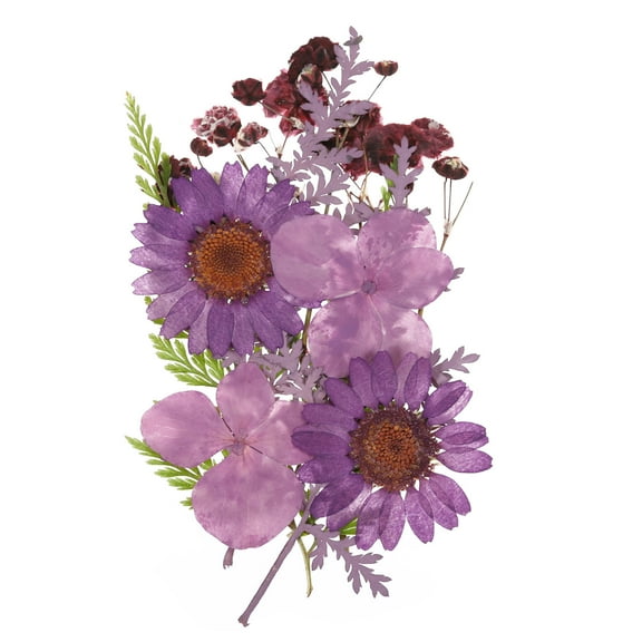 Dried Pressed Real Flowers Pressed Flowers Dry Leaves for DIY Crafts Purple