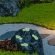 thumbnail image 5 of Adornos de Jardín Que Brillan En La Oscuridad | Juego de 3 Piedras de Musgo Luminosas | Decoración Solar Nocturna para Jardines, Patios y Parterres, 5 of 6