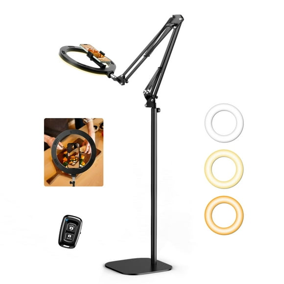 Ring Light Evershop con soporte para cámara trasera de 10 pulgadas