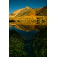 thumbnail image 2 of Sederquist, Betty 11x14 White Modern Wood Framed Museum Art Print Titled - Usa-California-Sierra Nevada Morning sun lights up North Lake and the golden aspens beyond, 2 of 4