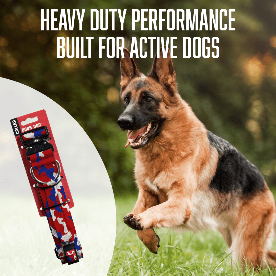 Boss Dog Tactical Collar, Red, White & Blue Camo, X-Large