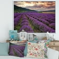 thumbnail image 2 of Designart 'Lavender Field At Sunrise I' Farmhouse Framed Canvas Wall Art Print, 2 of 5