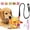 Dog, variant on Squeaky Play Ball with Elastic Rope with Elastic Ropes Soft, 6-Inch Soft Stuffed Ball with Cotton Material and Bell Built-In, Squeaky Hanging Dog Toy, Durable Pet Toy