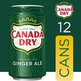 thumbnail image 2 of Pack of 2 - Canada Dry Ginger Ale Soda, 12 Fl Oz Cans, 12 Pack, 2 of 3
