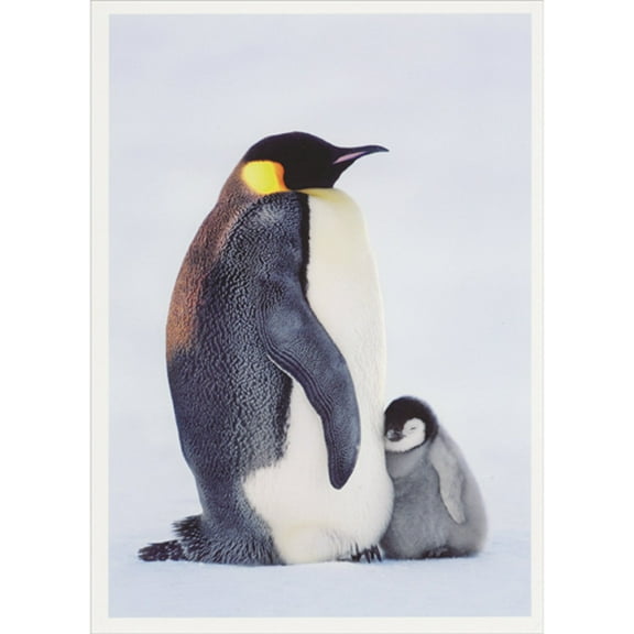 Palm Press Emperor Penguin with Gray and White Baby Snuggling at Belly Box of 10 Wildlife Christmas Cards