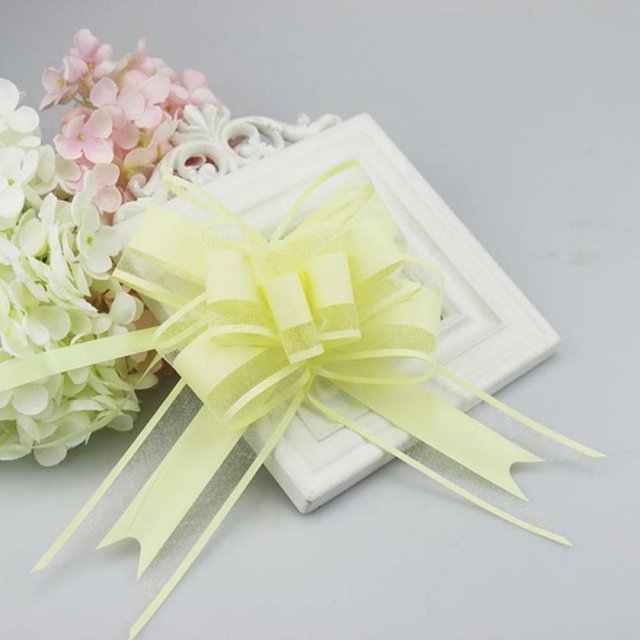 10 Pieces Pull Bow Large Organza Gift Wrapping Pull Bows with Ribbon for Wedding Gift Baskets, Festive Party Supplies(6 Inches Diameter)