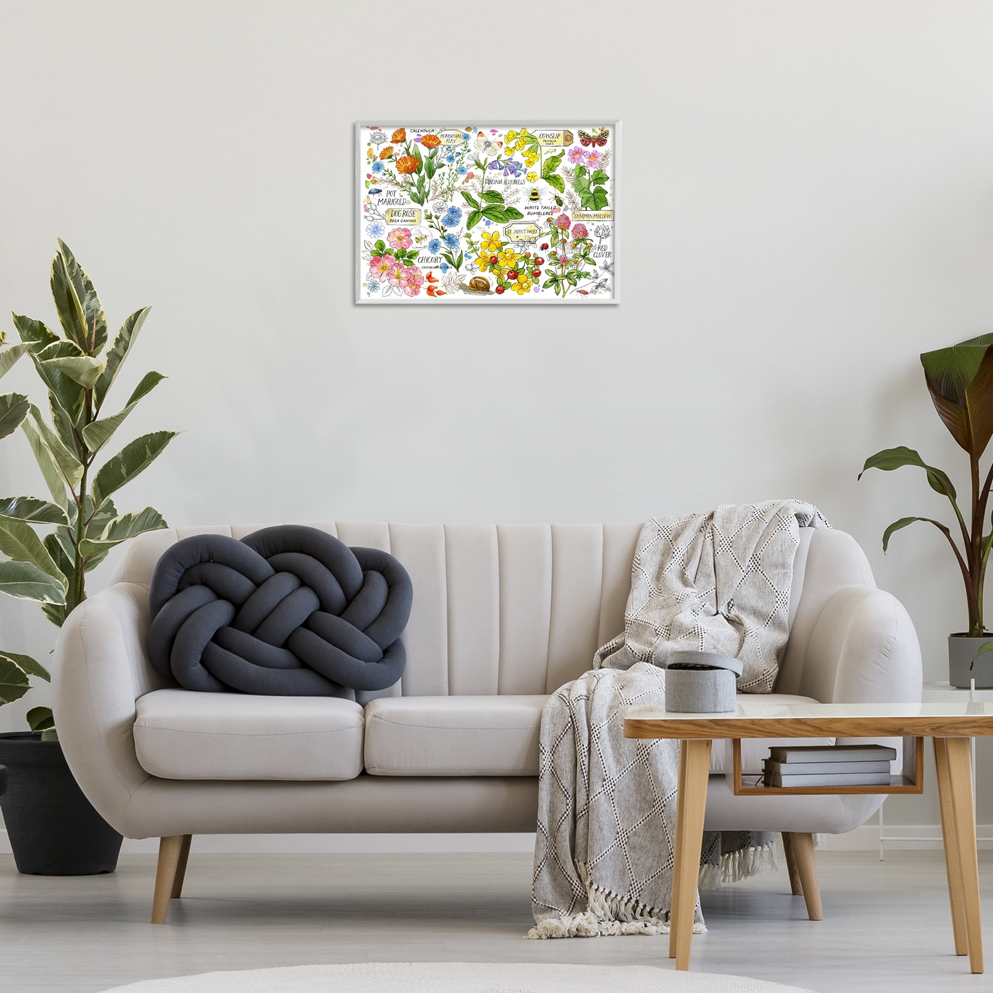 Stupell Industries Various Herbs Benefits Botanical & Floral Painting White Framed Art Print Wall Art, 24 x 16