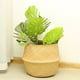 thumbnail image 3 of Fiudx Cesta Tejida Es a Mano, Se Puede Decorar, Se Puede Hacer, Se Puede Hacer con Macetas, Se Puede Hacer con Almacenamiento, Se Puede Usar En La Casa, Puede Ser Perfecta, Se Puede Reorganizar, Pued, 3 of 7