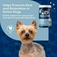 thumbnail image 5 of NaturVet Senior Dog Advanced Calming Aid Soft Chews 60ct, 5 of 8