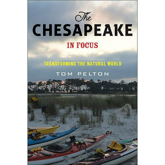 The Chesapeake in Focus (Paperback)