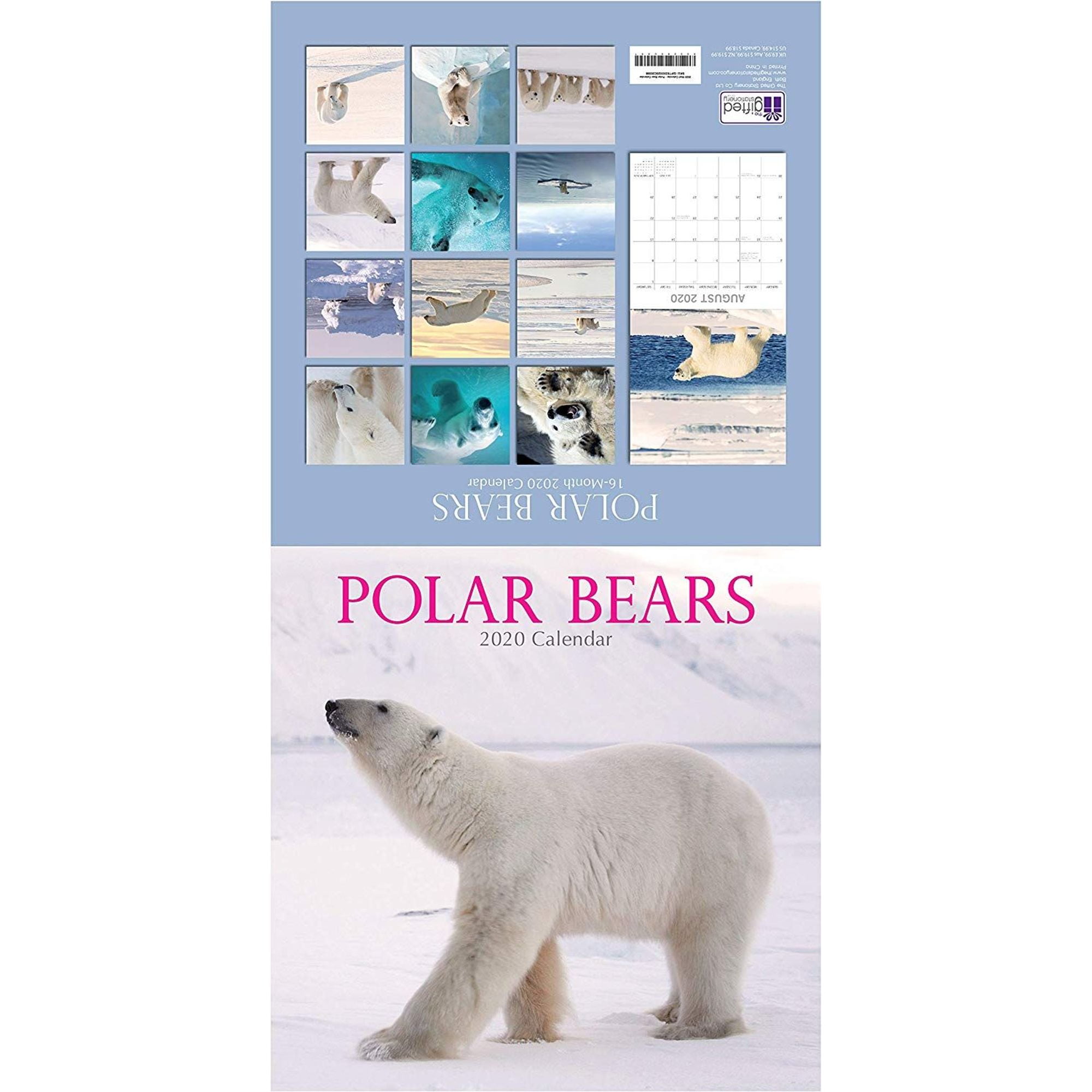 2020-wall-calendar-polar-bear-calendar-12-x-12-inch-monthly-view-16