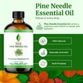 thumbnail image 5 of SVA Pine Needle Essential Oil – 4 Fl Oz – 100% Natural Pine Needle Oil - for Diffuser, Hair Care, Face, Skin Care, Aromatherapy, Scalp and Body Massage, Soap and Candle Making – with Dropper, 5 of 8