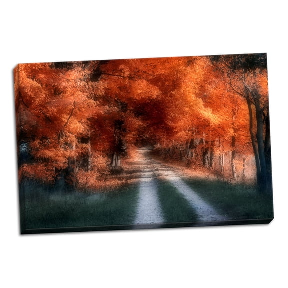 Gango Home Decor Autumn Lane by C. Thomas McNemar (Ready to Hang); One 36x24in Hand-Stretched Canvas