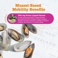 thumbnail image 4 of Zesty Paws Mussel Hip & Joint Bites Chicken Flavor Dog Supplement, 90 Count, 4 of 11