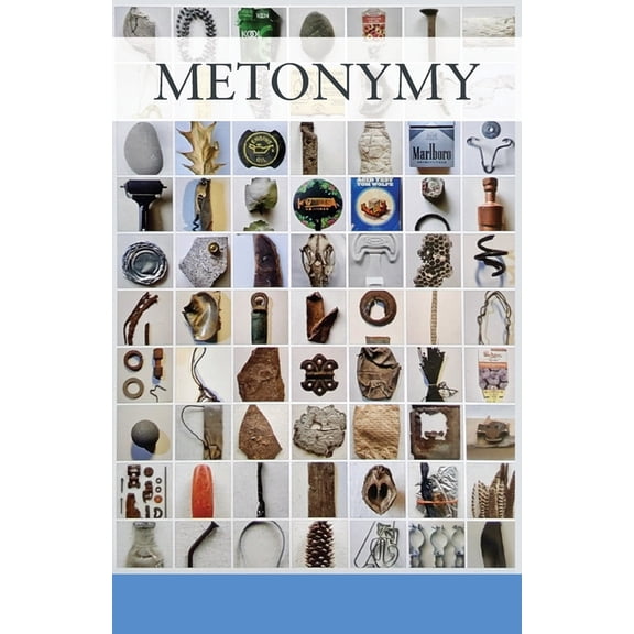 Metonymy: ... from the day books, (Paperback)