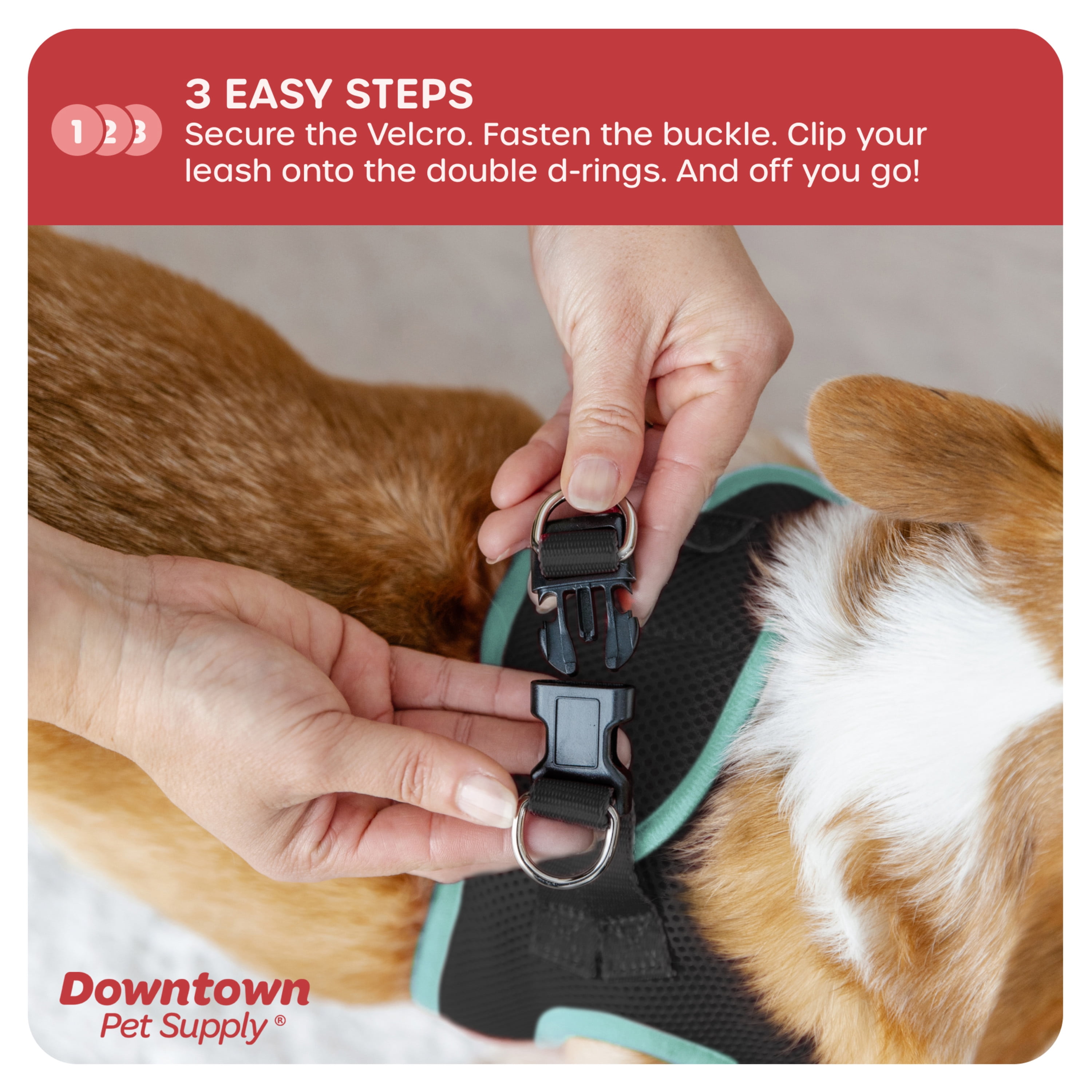 Downtown Pet Supply Step In Dog Harness For Small Dogs No Pull, Small, Black w/ Light Blue Trim
