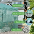 thumbnail image 6 of Vineego 8*6 Ft Portable Pop-Up Walk-in Greenhouse with Central Lock Windproof PE Cover, Double-Layer Windows, for Garden and Backyard, Green, 6 of 7