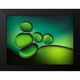 thumbnail image 2 of Hammer, Jacqueline 24x19 Black Modern Framed Museum Art Print Titled - Shades Of Green, 2 of 5