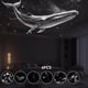 thumbnail image 4 of Proyector de galaxia 2 en 1 con luz nocturna y 6 láminas de estrellas intercambiables | Lámpara LED espacial ajustable 360° con alimentación USB para habitación infantil, guardería o dormitorio, 4 of 9