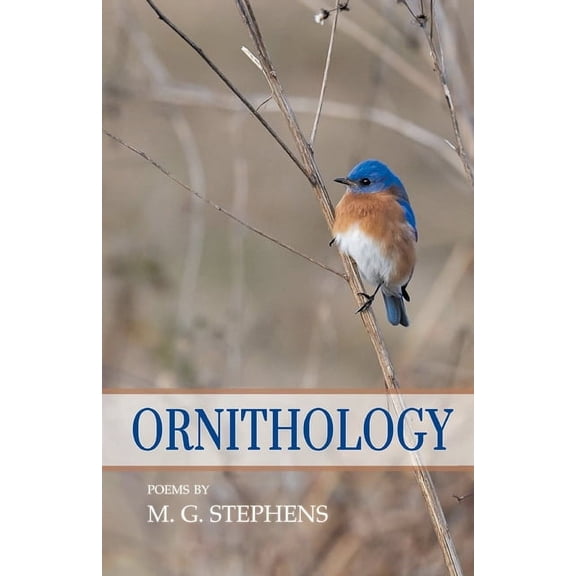 Ornithology (Paperback) by M G Stephens