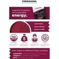 thumbnail image 3 of Terrasoul Superfoods Organic Beet Juice Powder, 4 Oz - Grown in USA | Concentrated Beet Juice Crystals | Energy & Stamina, 3 of 6
