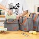 thumbnail image 5 of Bolsa de aislamiento térmico portátil, bolsa de aislamiento térmico, bolsa gruesa de papel de aluminio para almuerzo bento, 5 of 5
