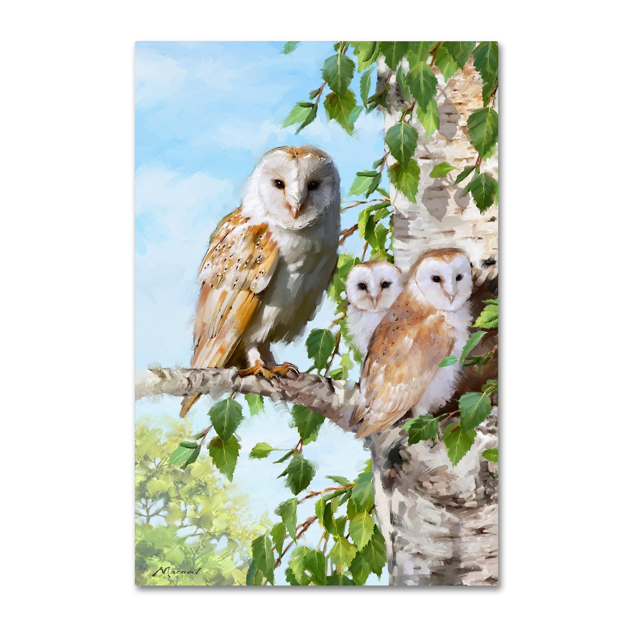 Trademark Fine Art 'Barn Owl Family' Canvas Art by The Macneil Studio