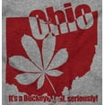 thumbnail image 2 of Ohio Shaped State Pride Buckeye Leaf Men's Graphic T Shirt Tees Brisco Brands S, 2 of 4