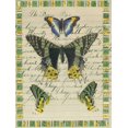 thumbnail image 2 of Gould-Porter, William 12x14 Gold Ornate Wood Framed with Double Matting Museum Art Print Titled - Butterfly Collage, Peace Pipe, 2 of 4