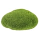 thumbnail image 1 of Simulación de peces Bola de musgo Pequeño acuario Aquarium Aquarium Ornament para decoración, 1 of 5