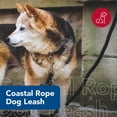thumbnail image 2 of Correa para perros Coastal, de nailon suave, sin enredos, 1,3 cm x 1,8 m, negra, 2 of 7