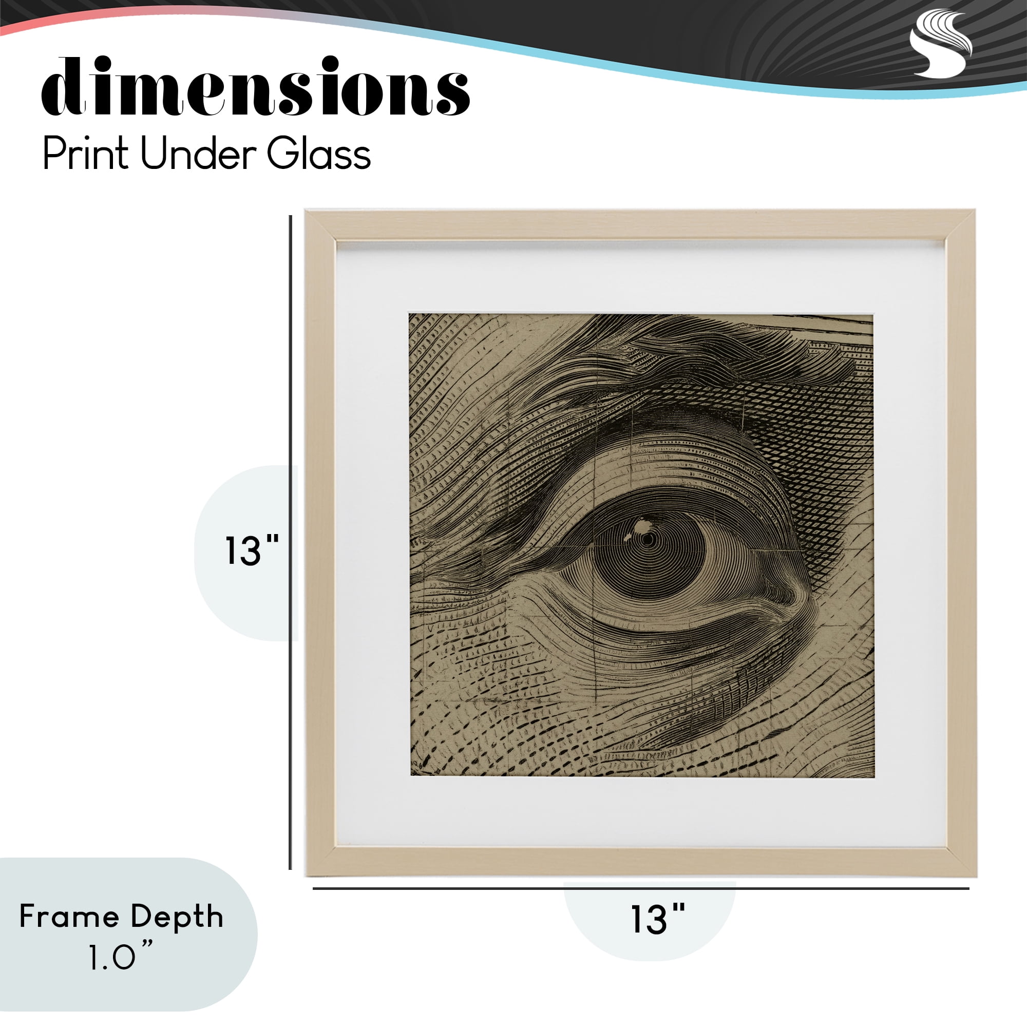 Stupell Industries Franklin's Gaze Eye Birch Framed Print Under Glass, design by Svetlana Aleynikova