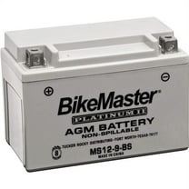 BikeMaster Platinum Batteries Grey 150mm L x 69mm W x 145mm H HT14B-4-FA