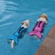 thumbnail image 3 of Chaleco salvavidas ajustable ShuxiuWang para perros pequeños con alta flotabilidad, 3 of 3
