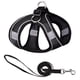 thumbnail image 1 of Conjunto de arnés y correa de malla suave para perros pequeños y gatos domésticos para pasear, 1 of 6