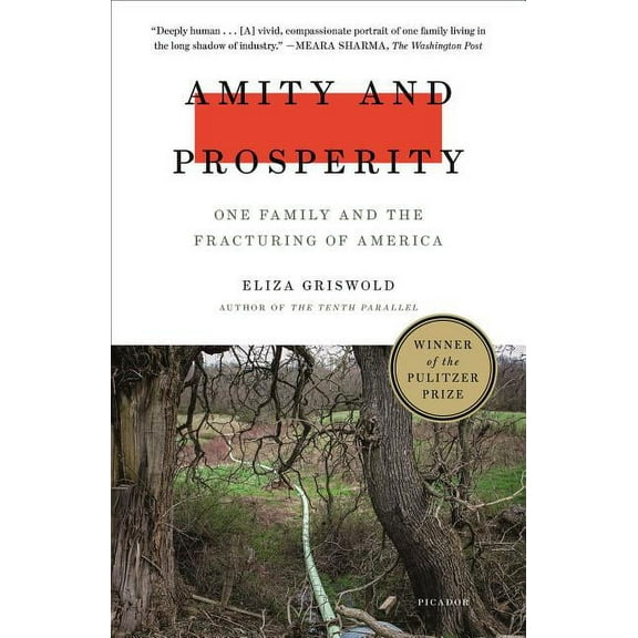 Amity and Prosperity : One Family and the Fracturing of America (Paperback)