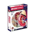 thumbnail image 2 of 4D Human Kidney Anatomy Science Model - STEM Toy, 2 of 2