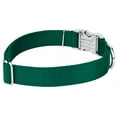 thumbnail image 7 of Country Brook Petz® Premium Nylon Dog Collar and Leash - Green, Large, 7 of 7