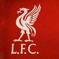thumbnail image 3 of Liverpool FC Mens Fleece Hoodie, 3 of 6