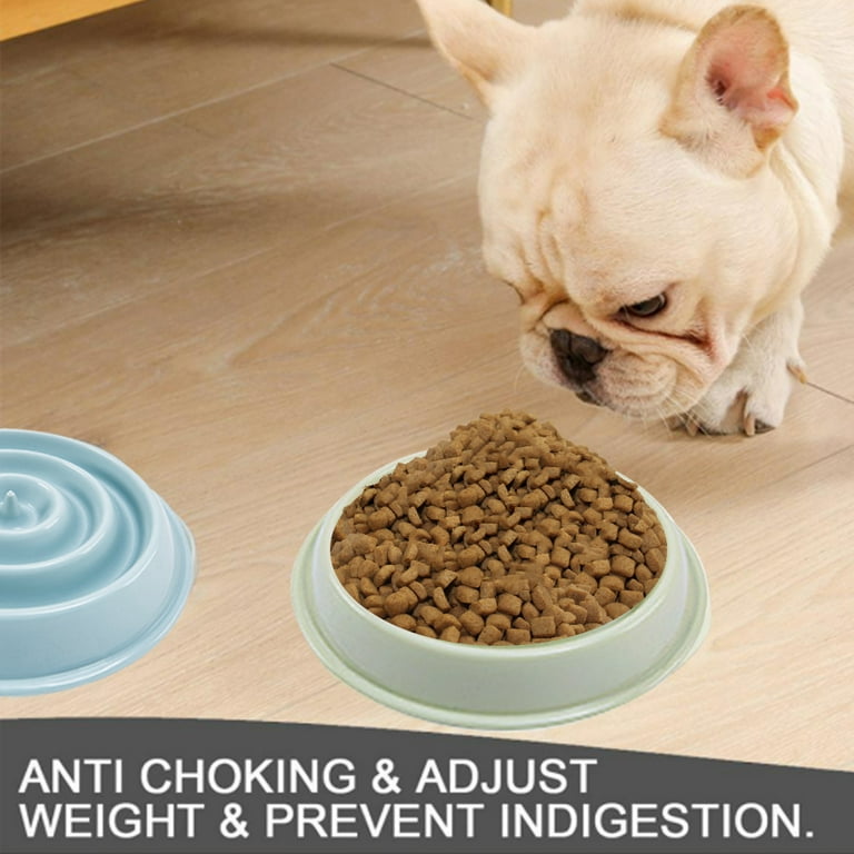 Feelers Dog Slow Feeder Bowl, Anti-Gulping Pet Slower Feeding