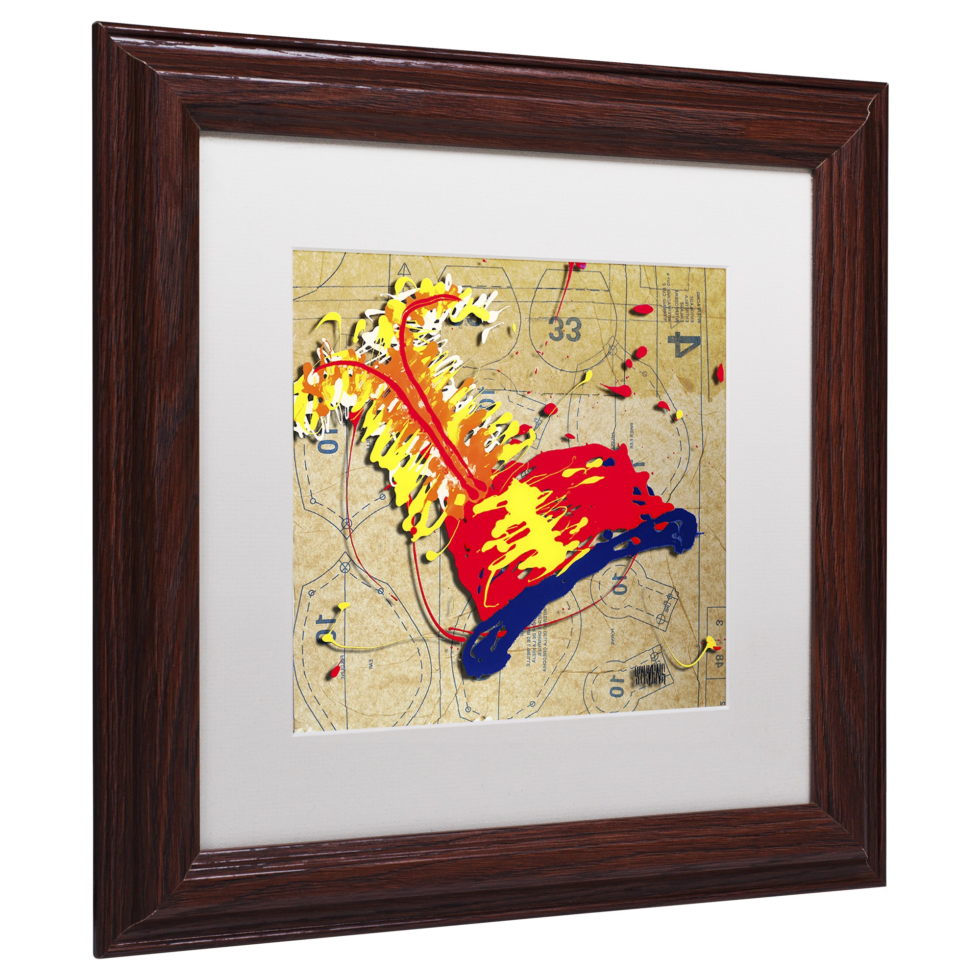 Trademark Fine Art "Red Hat Orange Feathers" Canvas Art by Roderick Stevens, White Matte, Wood Frame