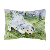 Carolines Treasures SS8015PW1216 Australian Shepherd Decorative Canvas Fabric Pillow, Large, Multicolor